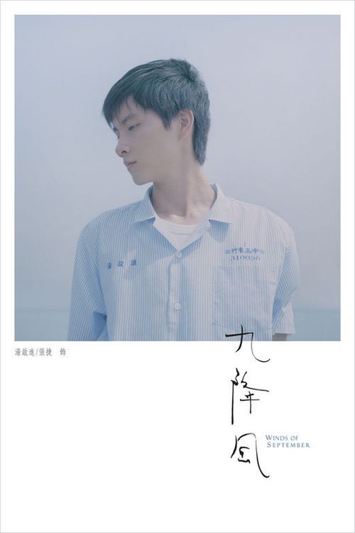 爱尔兰驾驶执照样本资料